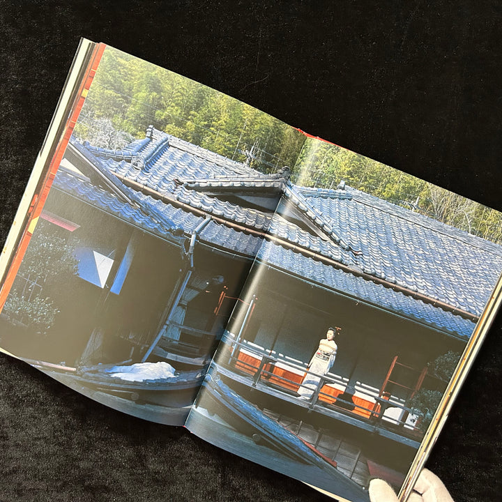 DARAKU: Pleasure in the Fall - Noctivis