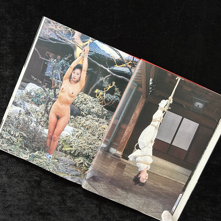 DARAKU: Pleasure in the Fall - Noctivis