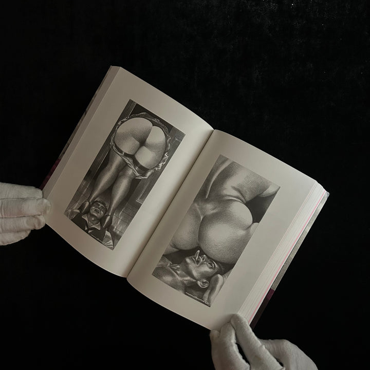 The Incredible Femdom Art of Namio Harukawa (MEMORIAL EXPANDED EDITION) - Noctivis