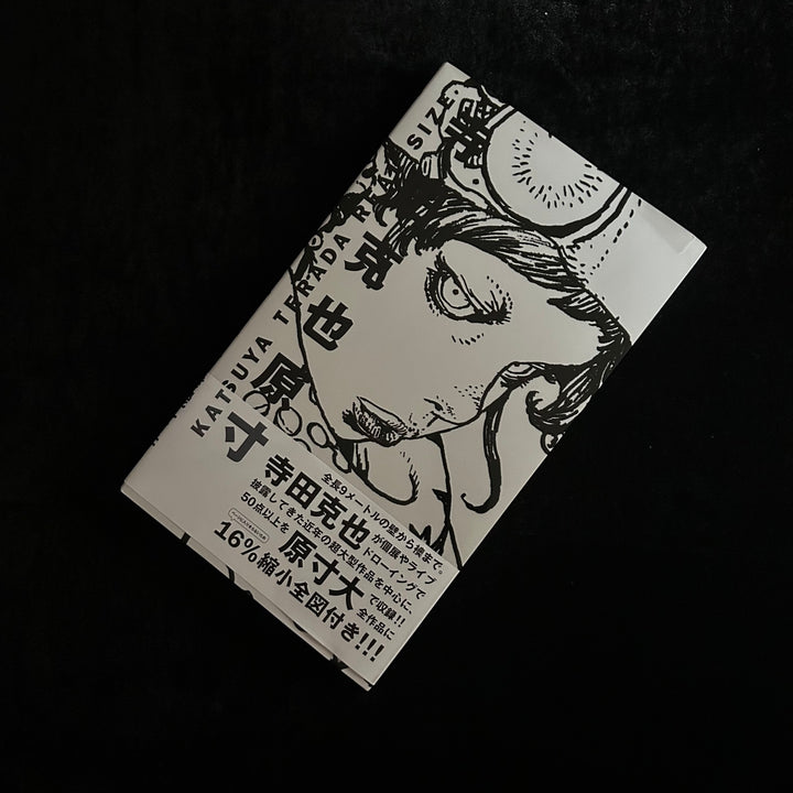 Katsuya Terada: Real Size - Noctivis