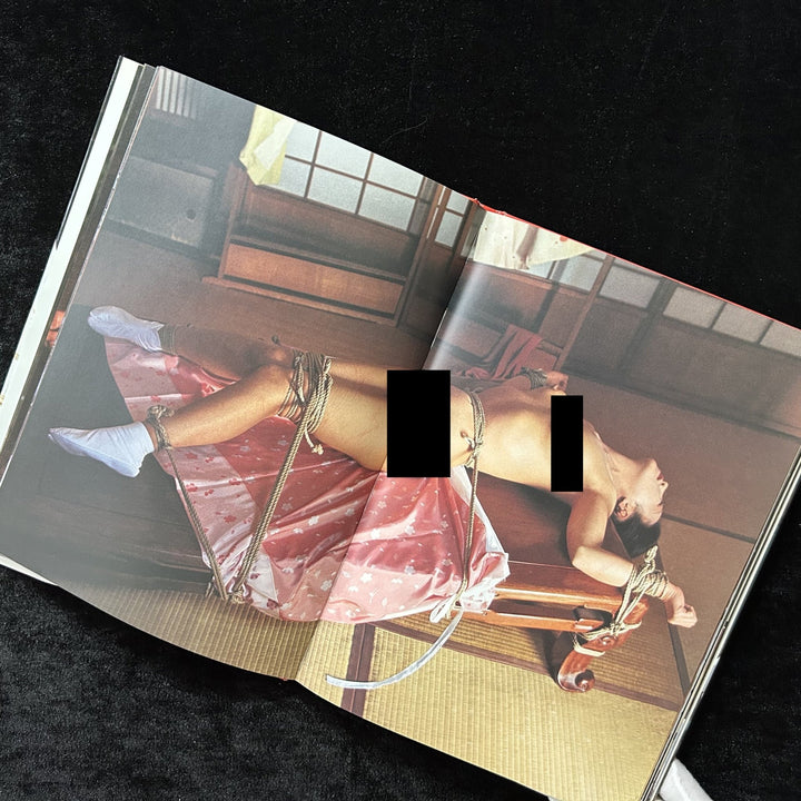 DARAKU: Pleasure in the Fall - Noctivis
