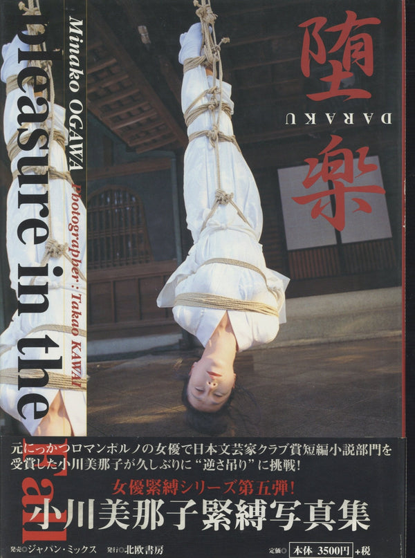 DARAKU: Pleasure in the Fall - Noctivis