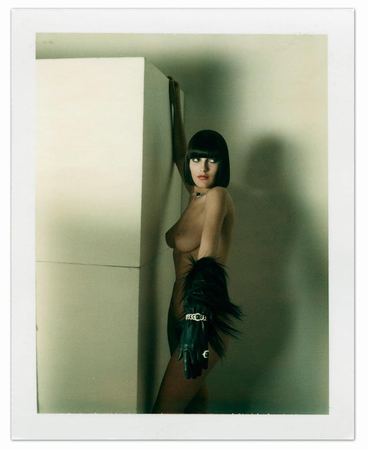 Helmut Newton: Polaroids - Noctivis