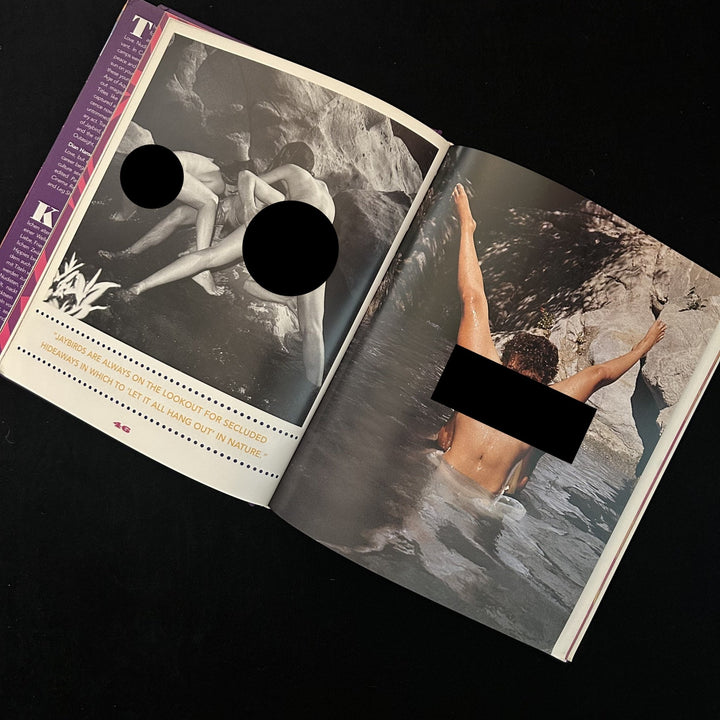 Naked As a Jaybird - Noctivis