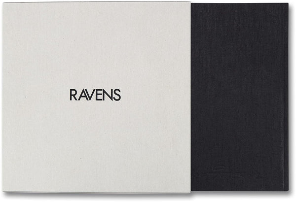 Raven - Noctivis